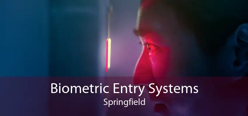 Biometric Entry Systems Springfield