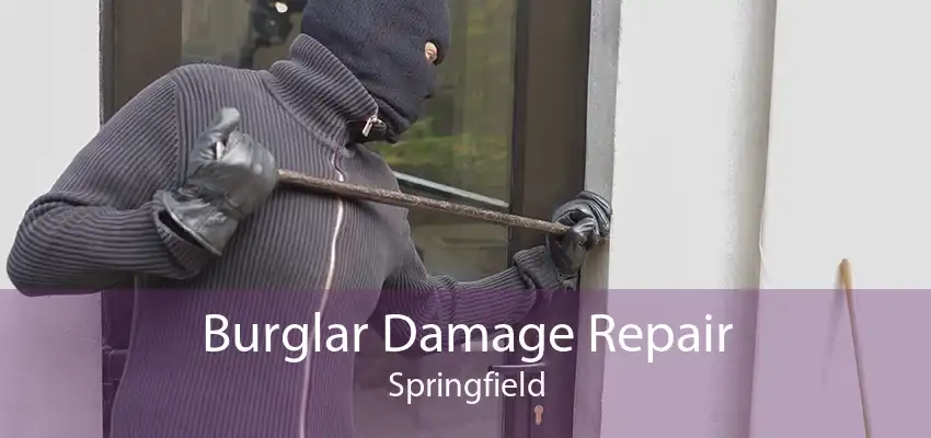 Burglar Damage Repair Springfield