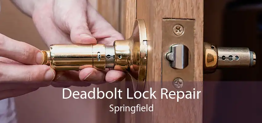 Deadbolt Lock Repair Springfield