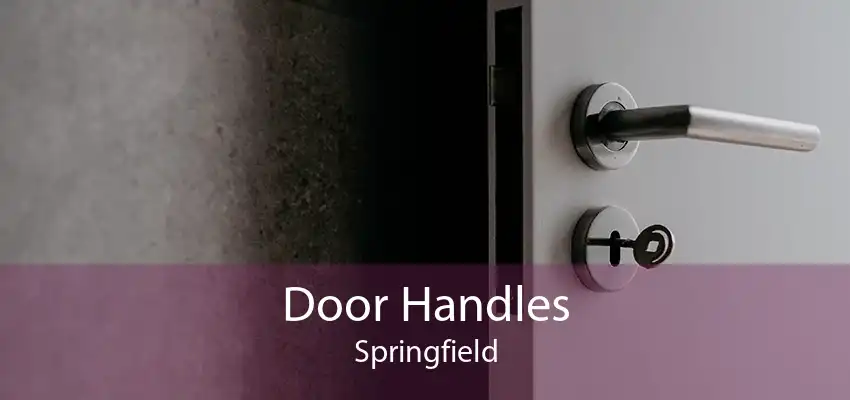 Door Handles Springfield