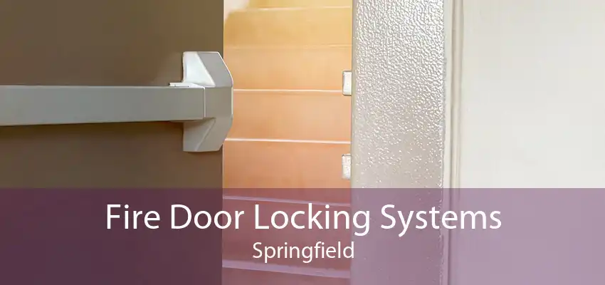 Fire Door Locking Systems Springfield