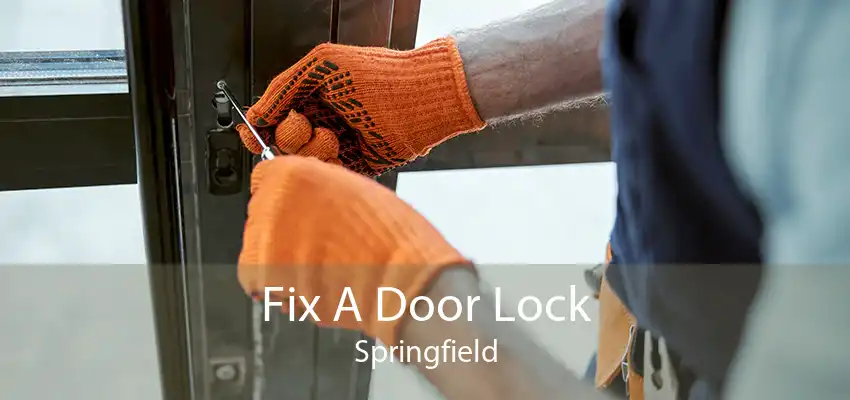 Fix A Door Lock Springfield