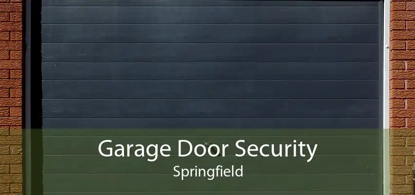 Garage Door Security Springfield