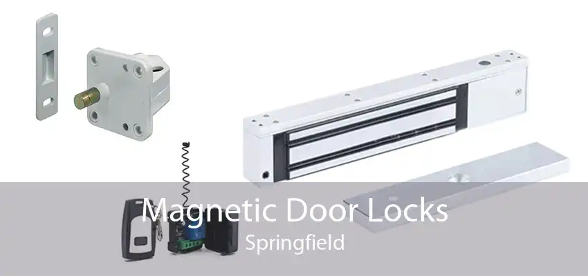 Magnetic Door Locks Springfield