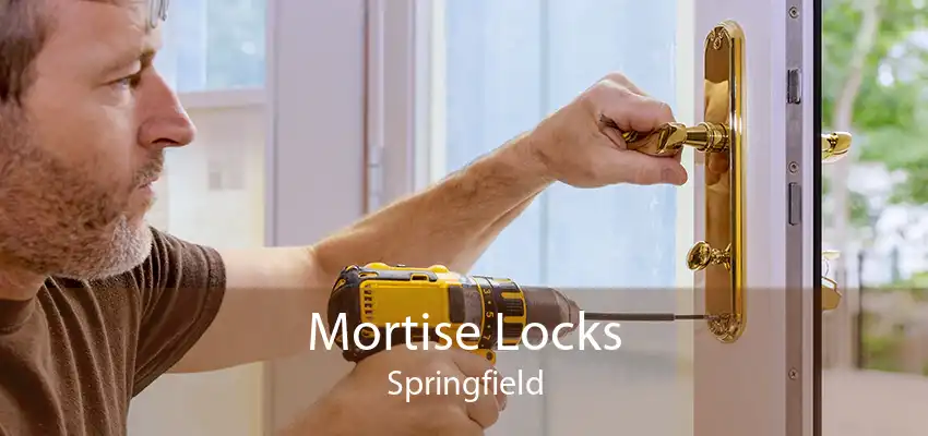 Mortise Locks Springfield