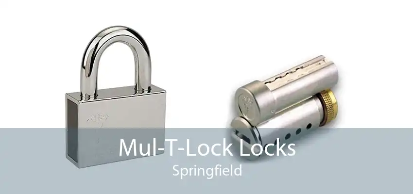 Mul-T-Lock Locks Springfield