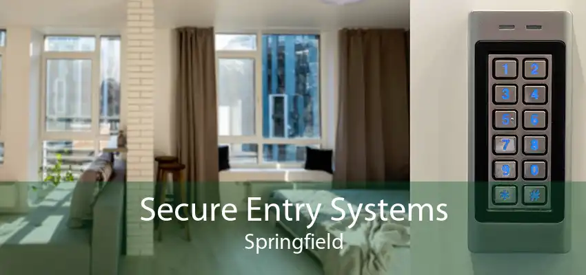 Secure Entry Systems Springfield