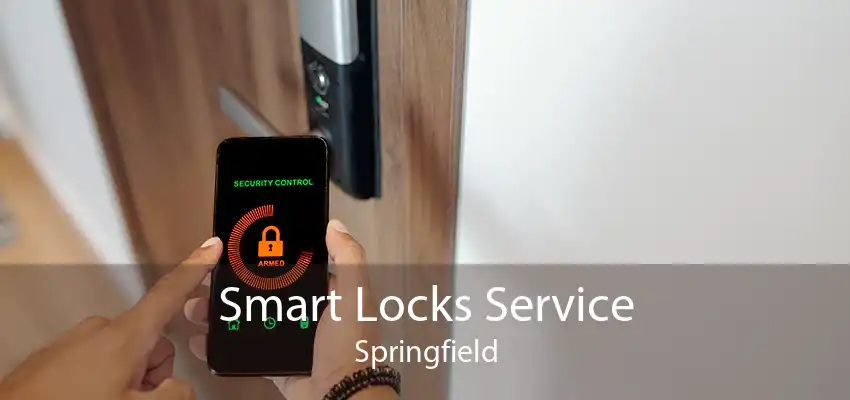 Smart Locks Service Springfield